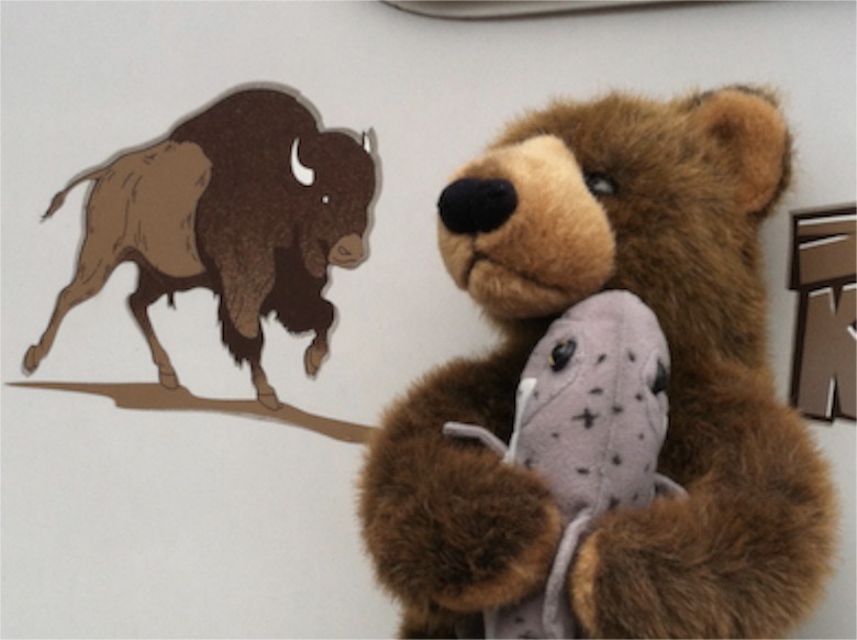 Edward Bear and the Buffalo