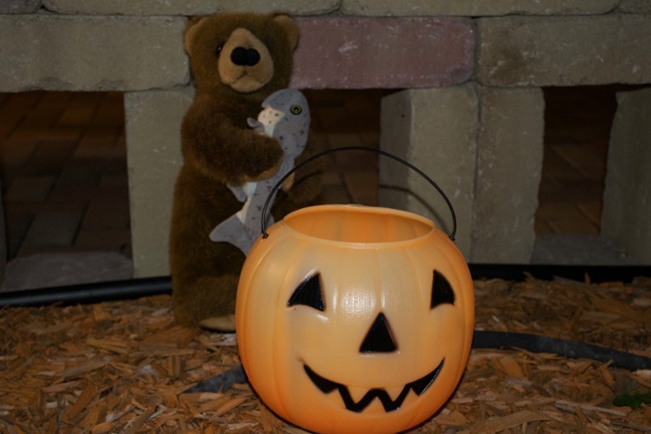 Edward Bear with Pumpkin