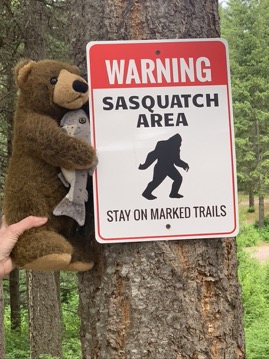 bear and sign