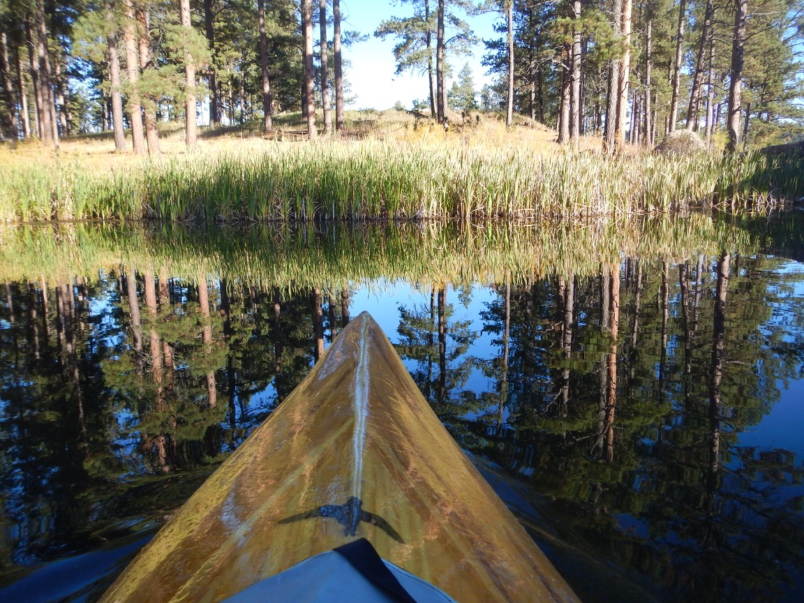 Lakeshore from kayak